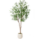 NOVAROOT Olive Tree 6FT Artificial Indoor with White Tall Exquisite Planter Faux Olive Tree with Realistic Wood Trunk, Silk Leaves and Lifelike Fruit, Fake Plants for Living Room Entryway Home Decor